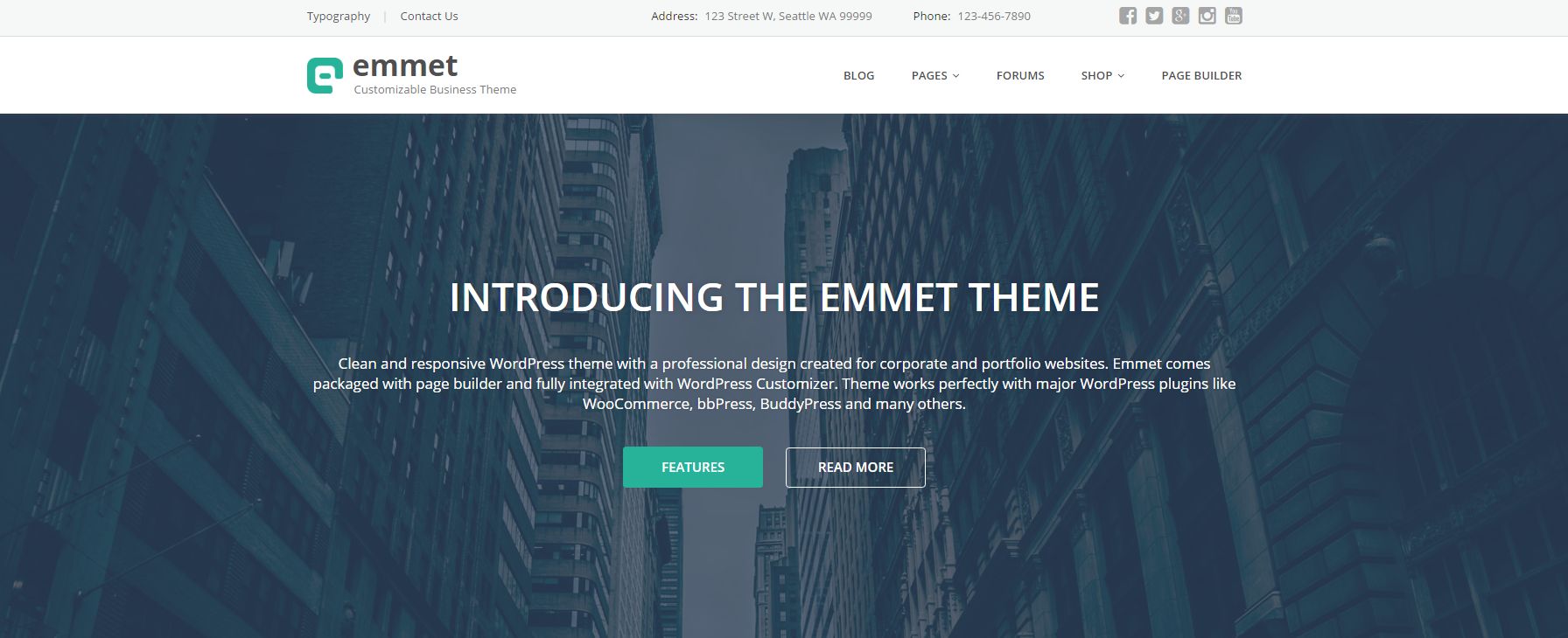 Emmet - Responsywny motyw biznesowy WordPress