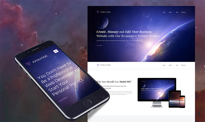 Шаблон Evolution Business MotoCMS