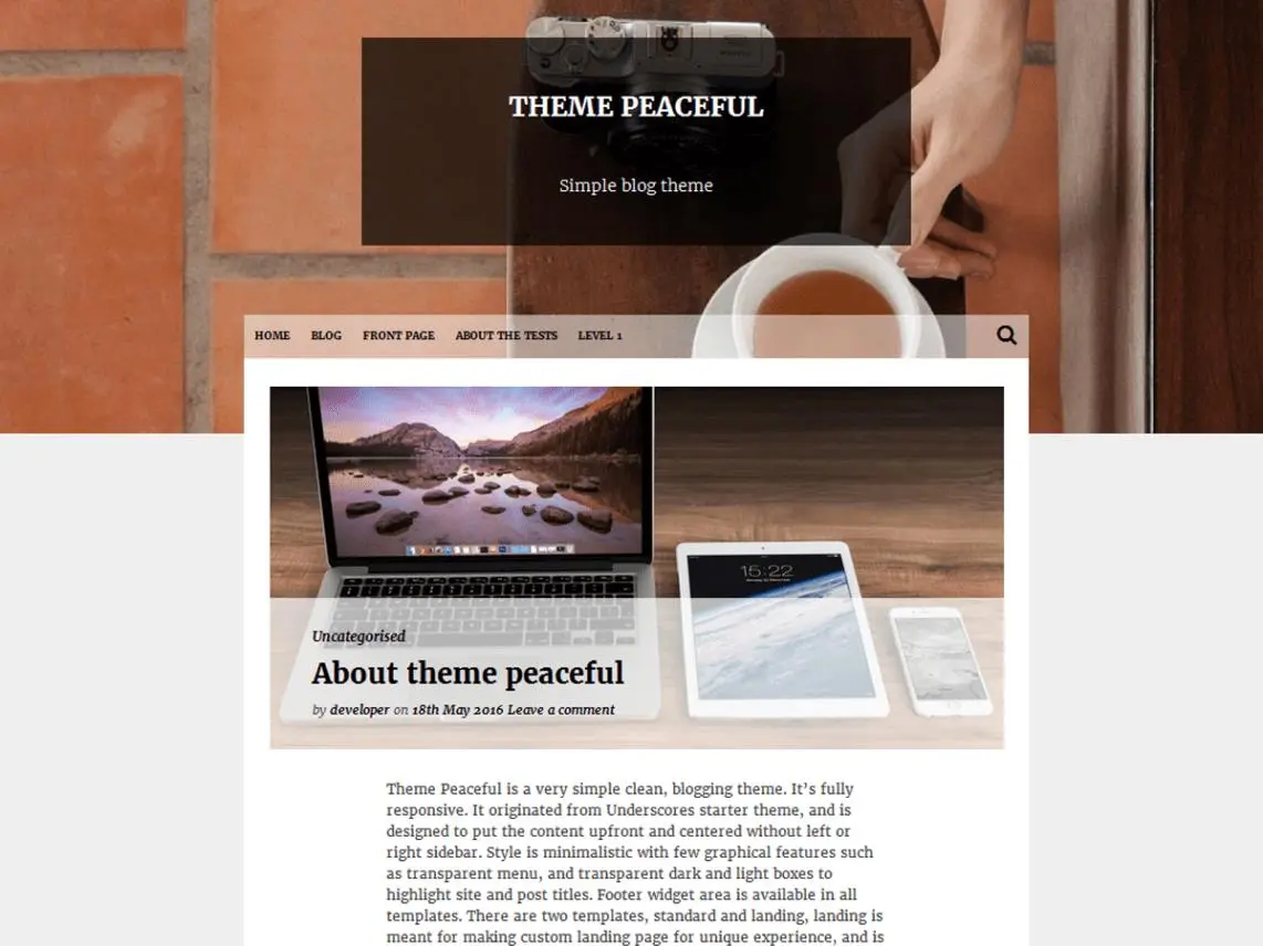 I blogger di 16 temi wp devono provare il 2018