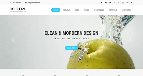 ฟรี ธีม WordPress สะอาดตา