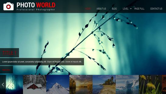 Tema WordPress per il mondo delle foto