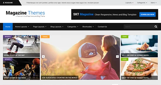 бесплатная журнальная тема WordPress