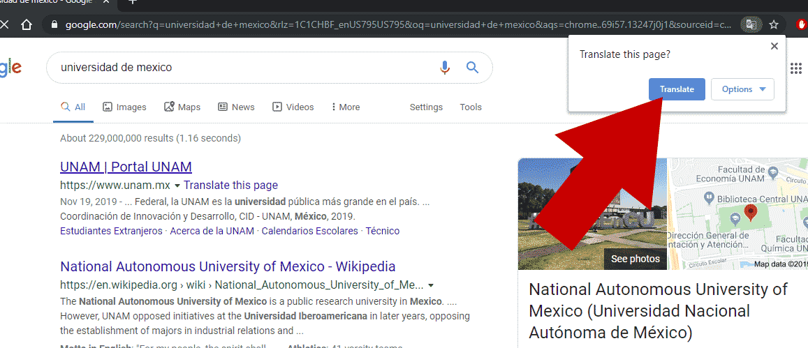 Munculan Google Terjemahan