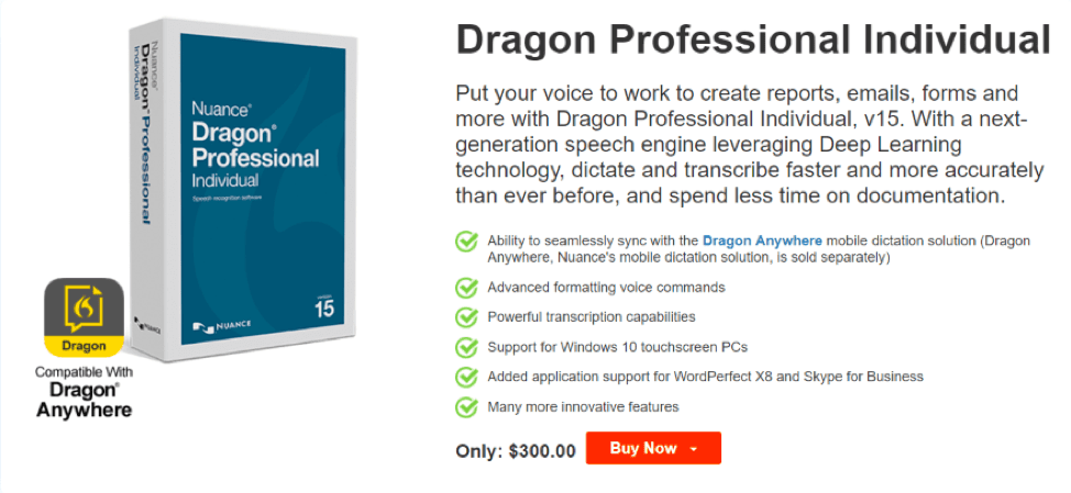 Dragon professionnel individuel