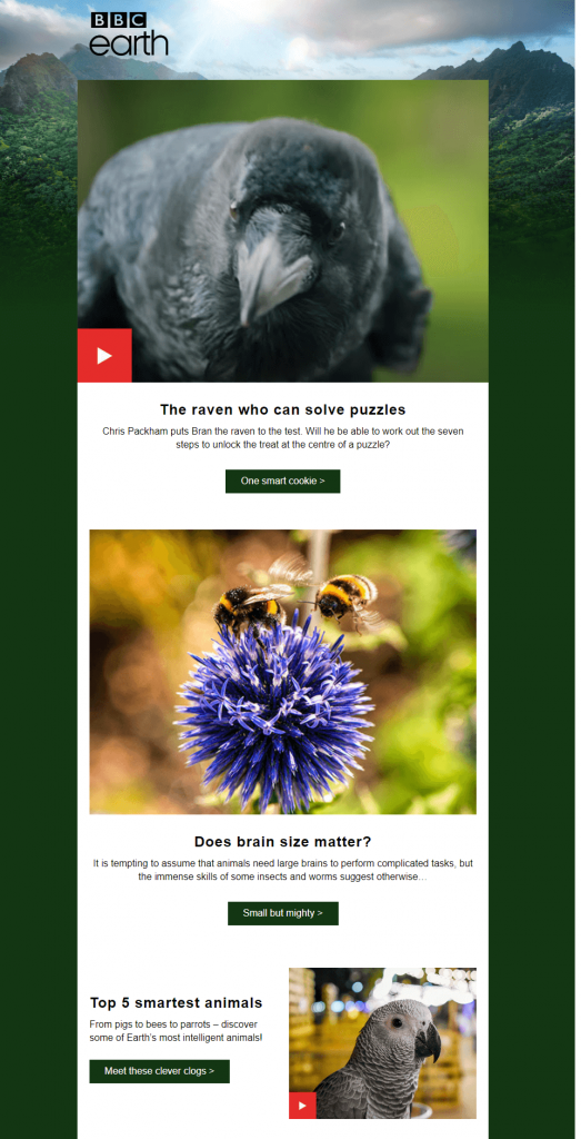 YouTube-Video in Social-Media-E-Mail