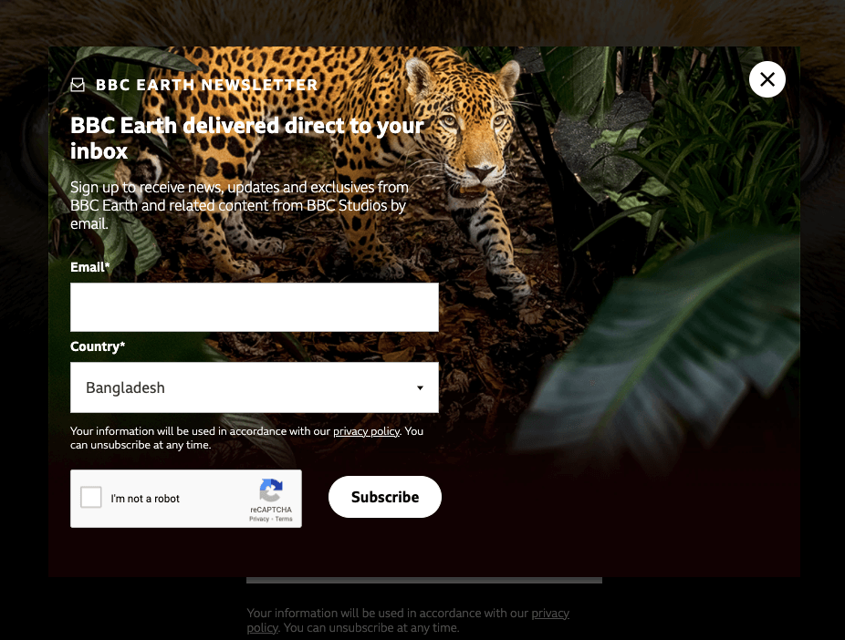 Beispiel für die Anmeldung zum BBC Earth-Newsletter