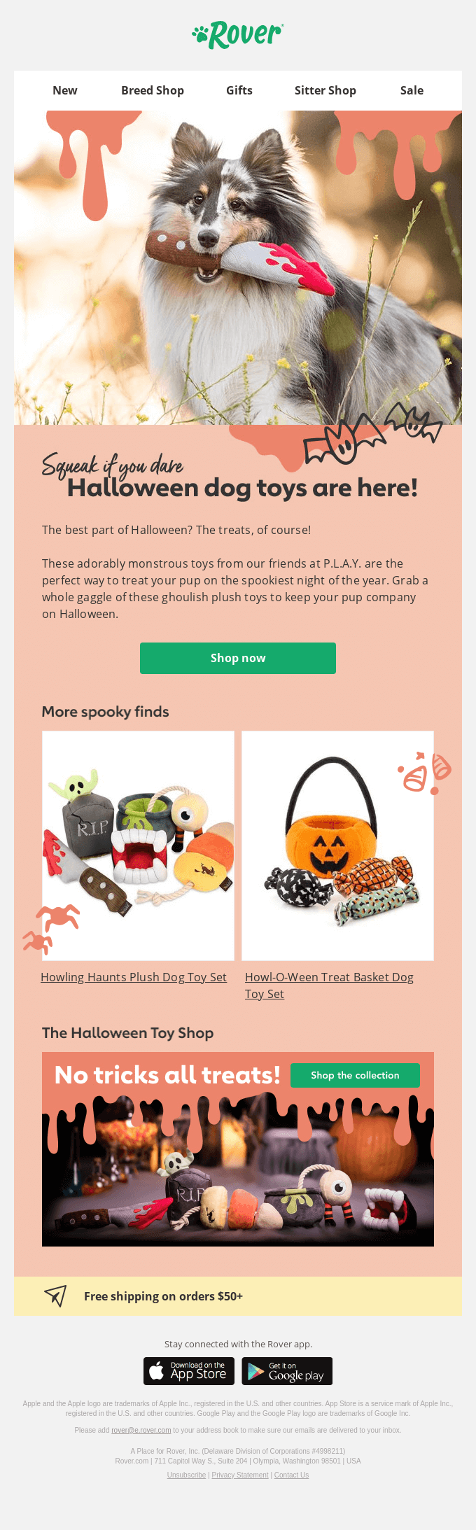 Halloween-E-Mail-Design