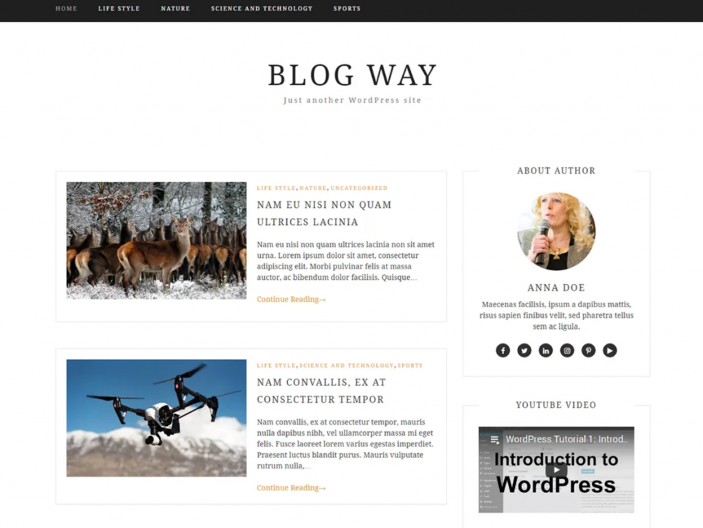 블로깅을 위한 40가지 최고의 무료 WordPress 테마 (2020) 28