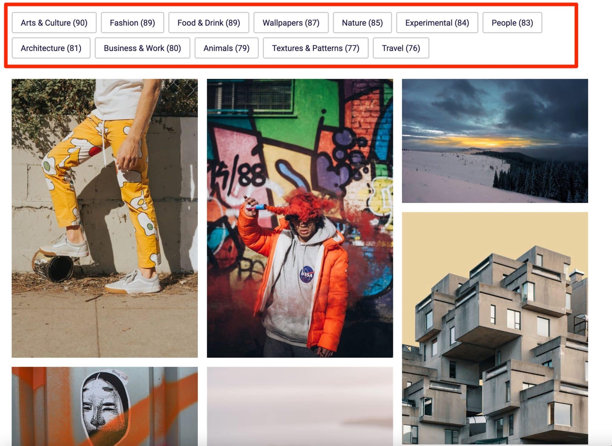 Você pode pesquisar imagens por categoria em um portfólio graças ao WP Grid Builder no WordPress.