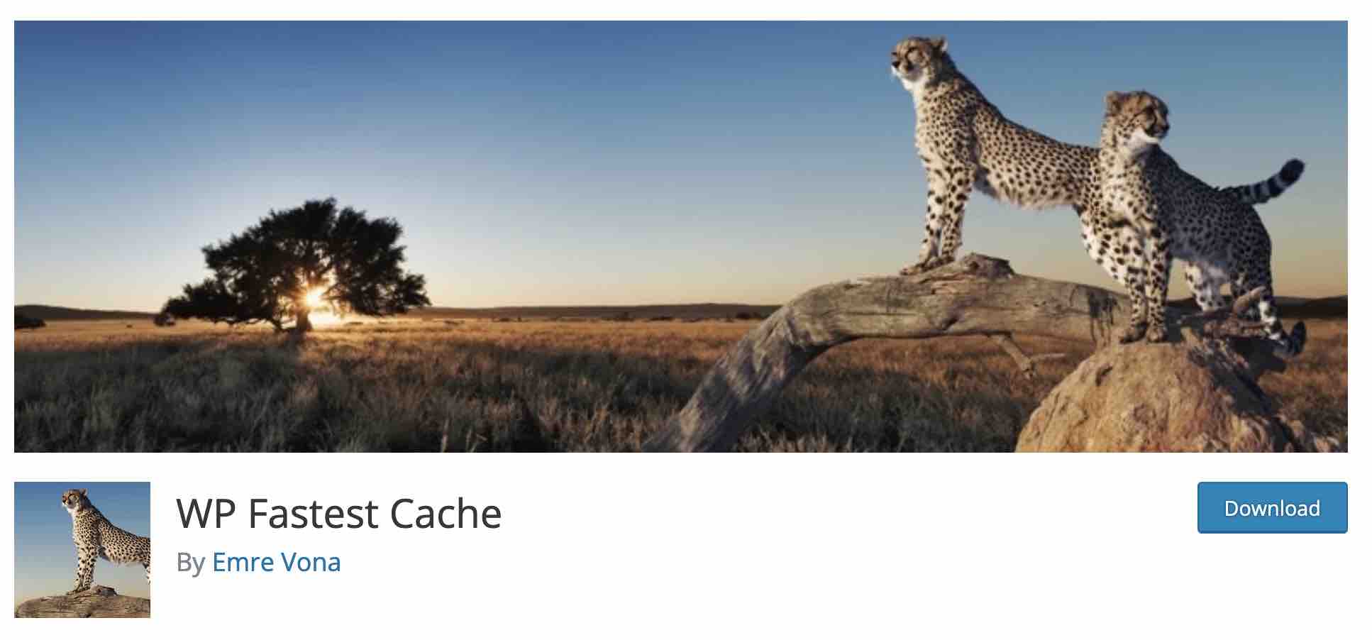 WP Fastest Cache 插件提高了网站速度。