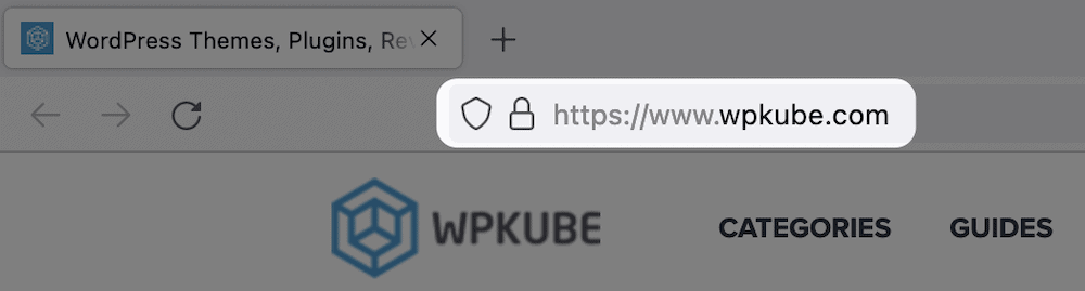 Обозначение HTTPS в браузере.