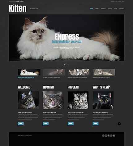 Tema WordPress responsivo Bootstrap Cherry Framework