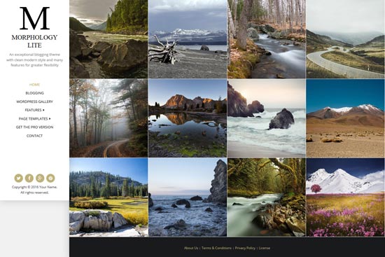 morphology lite бесплатная тема для WordPress фотография