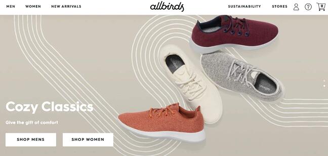 ตัวอย่างการตลาด STP: AllBirds