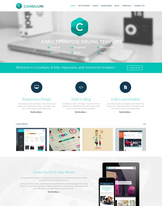 Consilium-多用途-創意-Drupal-主題