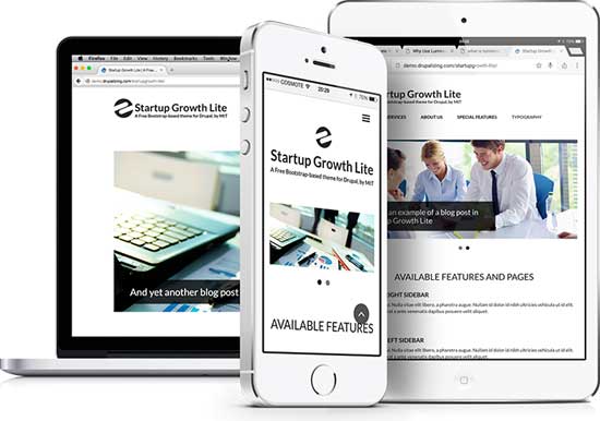 Startup Growth Lite 免費 Bootstrap drupal 主題