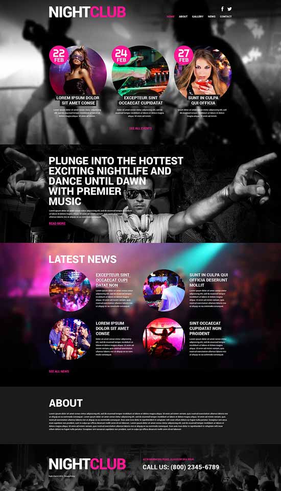 Night-Club-Euphoria-WordPress-Tema