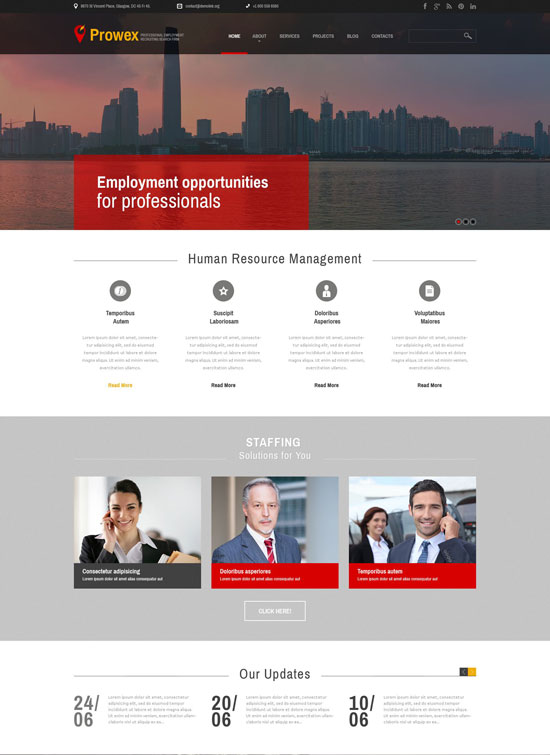 tema de wordpress de trabajo de empleo profesional