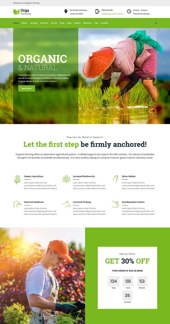 orga farm alimente organice tema wordpress