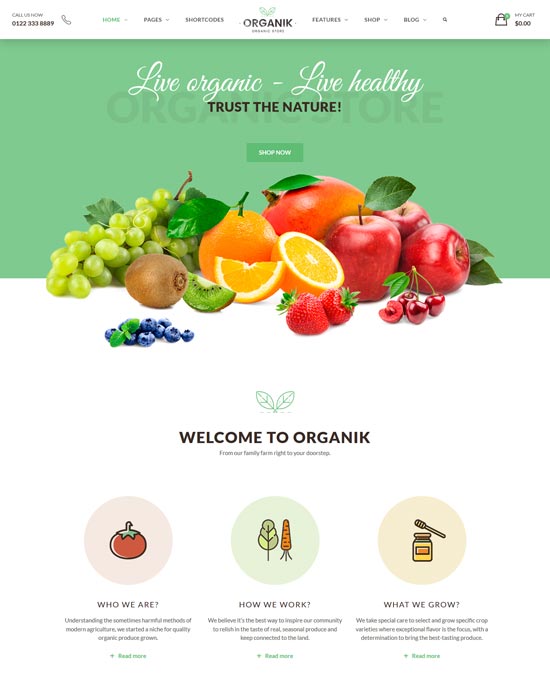 magazin organic organic farm woocomerce tema