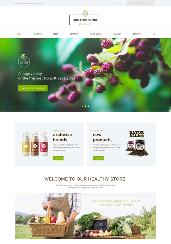 magazin organic tema produse ecologice