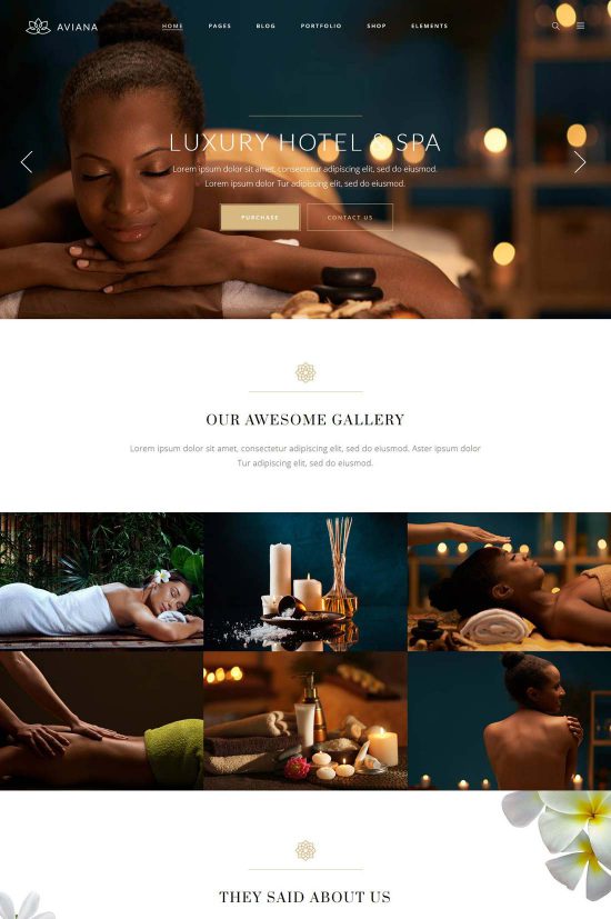 tema salone spa aviana