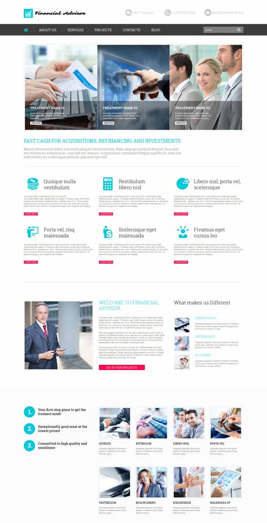 Financial-Advisor-WordPress-Theme-52641