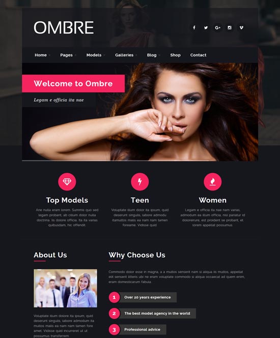 ombre 模特经纪公司时尚 WordPress 主题