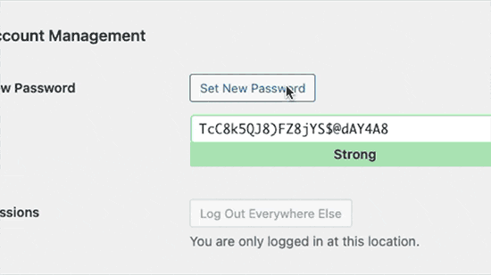 在 WordPress 中生成强密码 Generating strong passwords in WordPress