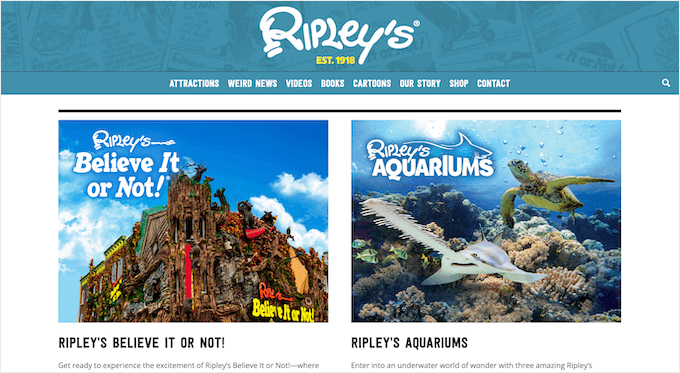 리플리의 Ripley's