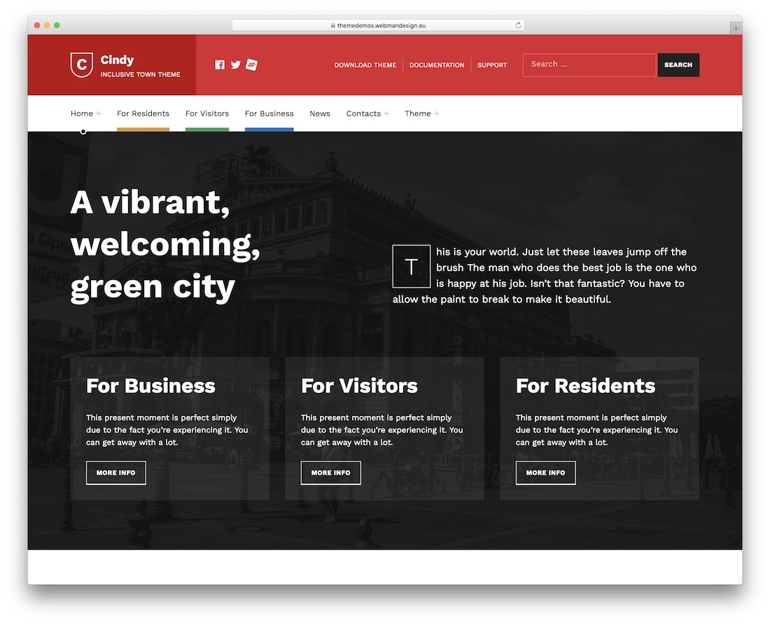 cindy 可訪問的 wordpress 主題
