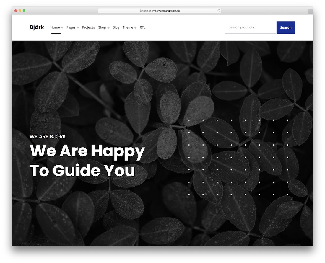 bjork 可訪問的 wordpress 主題