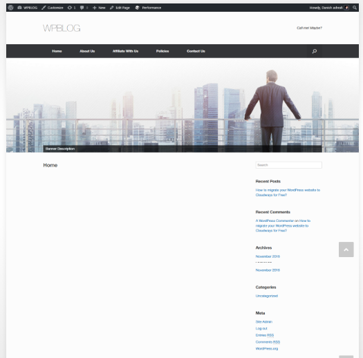 WordPress iş teması