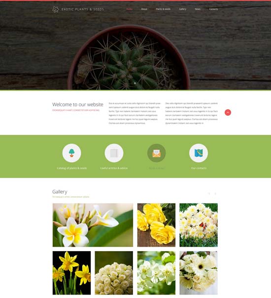 plantilla-sitio-web-de-plantas-exóticas