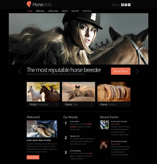 Free-Horse-Club-Website-Template