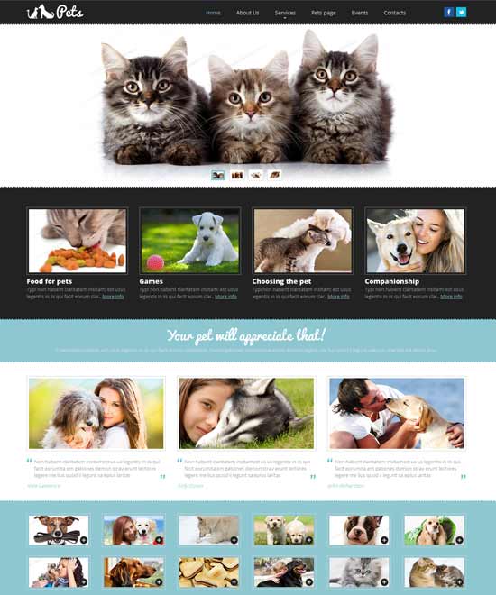 Pet-Shop-Responsive-Website-Plantilla