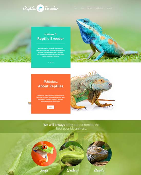 plantilla-sitio-web-criador-de-reptiles