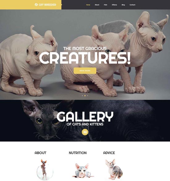 plantilla-sitio-web-criadores-de-gatos-52715