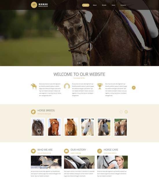 plantilla-sitio-web-criador-de-caballos-53786