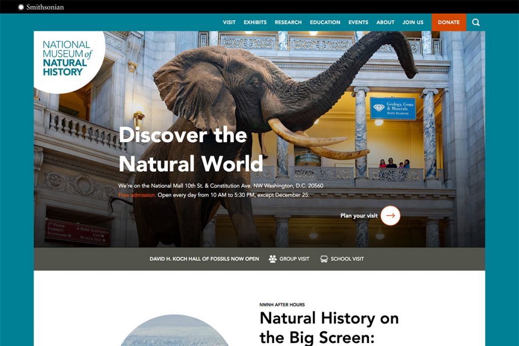 Naturgeschichte