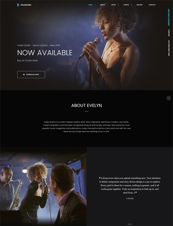 Musiker Musikband HTML-Vorlage