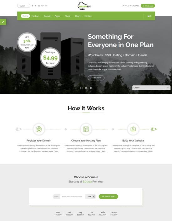 greenssd-Technologie-Hosting-Vorlage