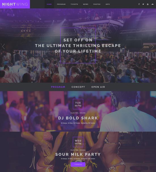 Nightwing-Nachtclub-Website-Vorlage