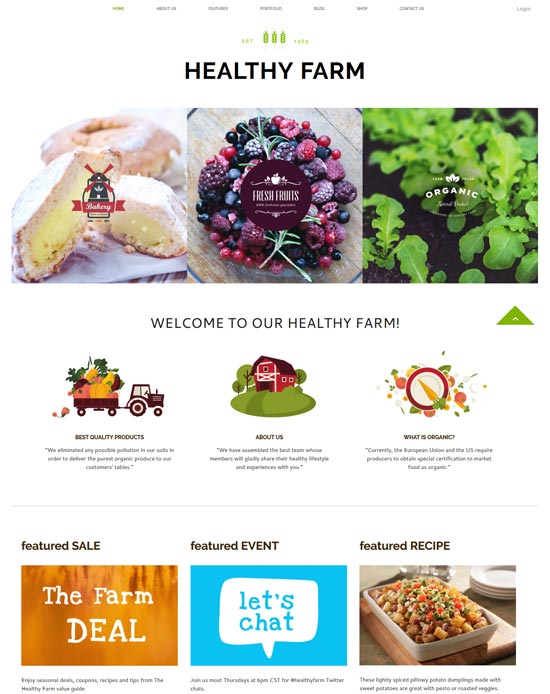 modèle de site d'aliments agricoles sains