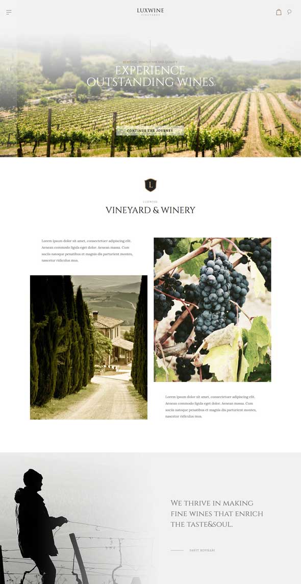 thème wordpress pour le vin luxwine