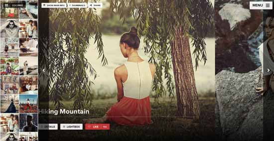 フルスクリーン-WordPress-theme-2015-02