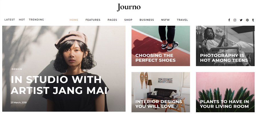 新闻网站 Journo WordPress 最佳主题