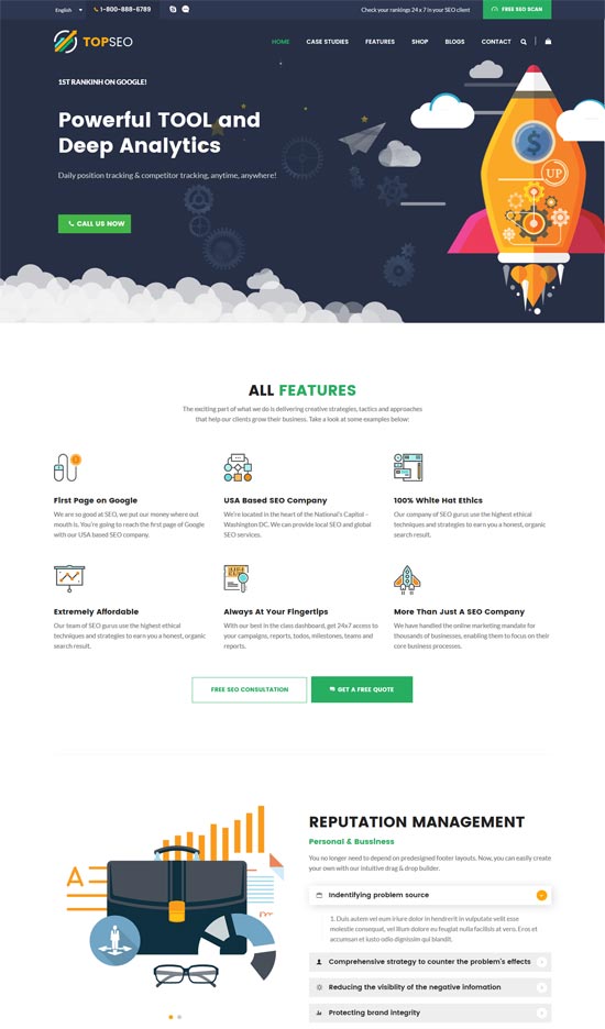 tema wordpress di marketing digitale topseo seo