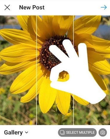 Jak publikować na Instagramie krok 4: przytnij obraz