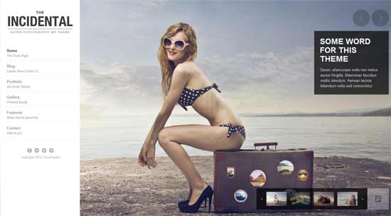 Incidental High Class Photography WP Theme